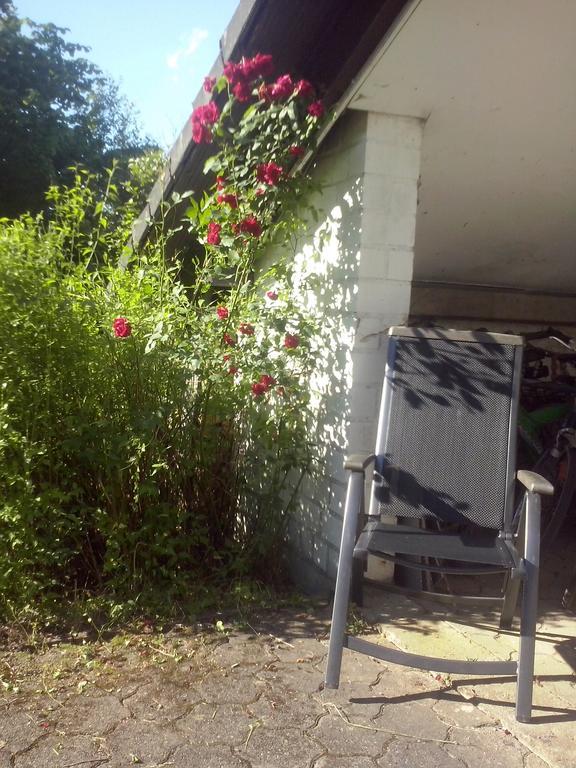 Ferienwohnung Daehne Allagen Exterior foto